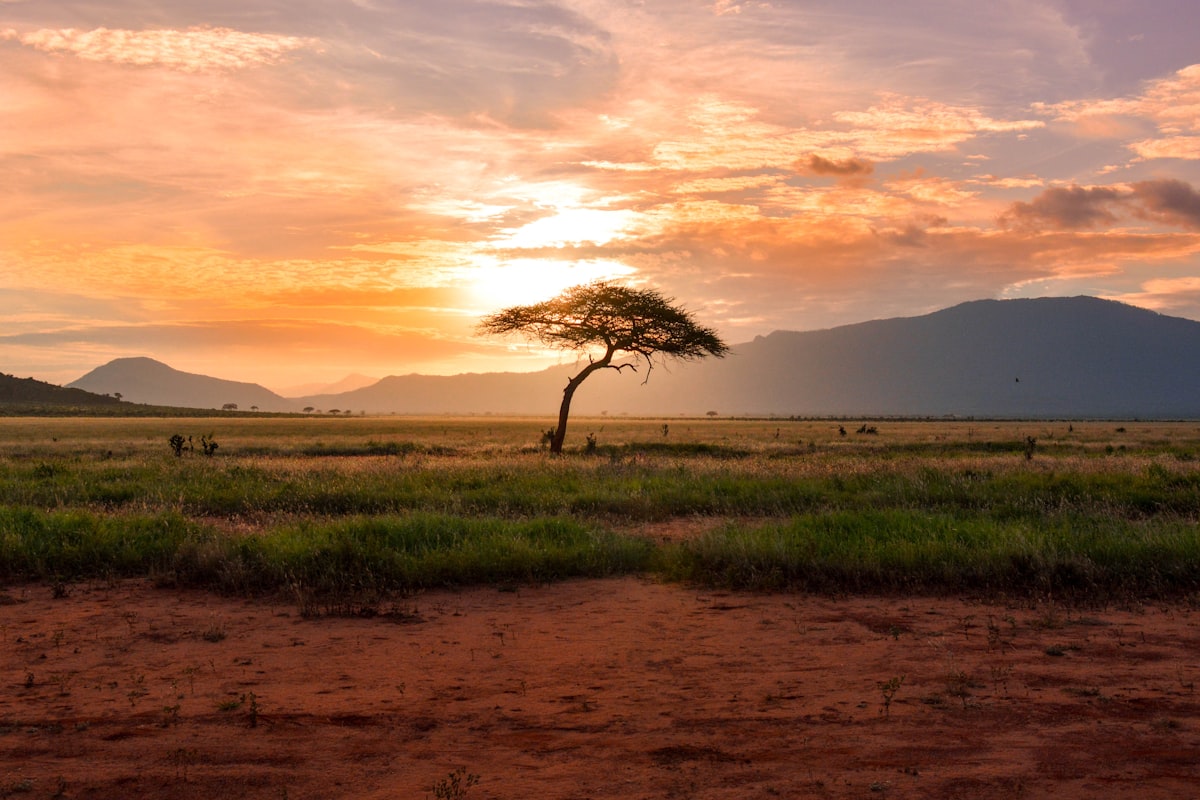 4-Day Ngorongoro Highlands & Serengeti Safari