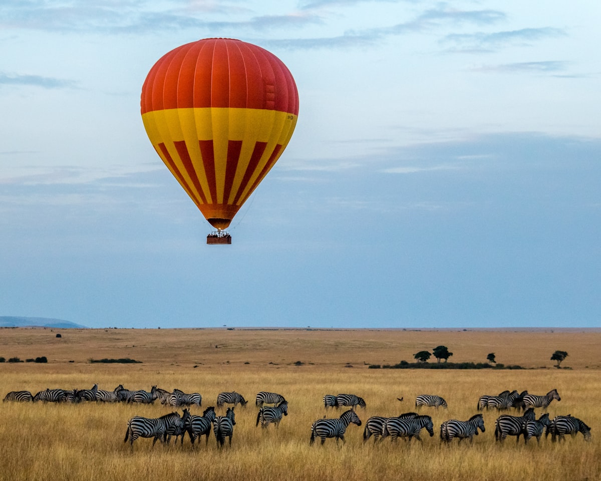 4-Day Classic Tanzania Joining Safari